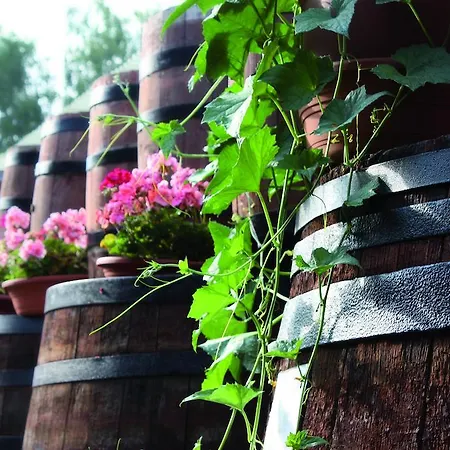 Hotel Hotelanlage Starick 4*