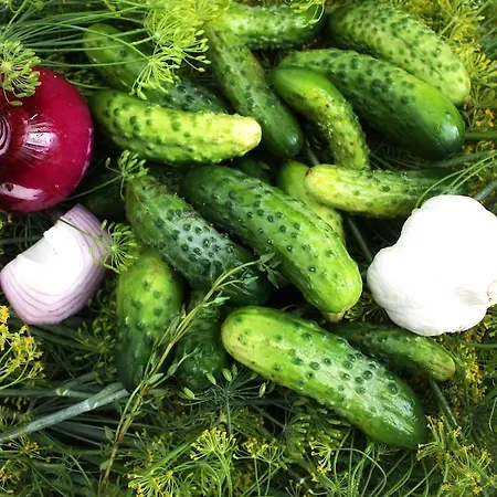 Hotel Hotelanlage Starick Luebbenau