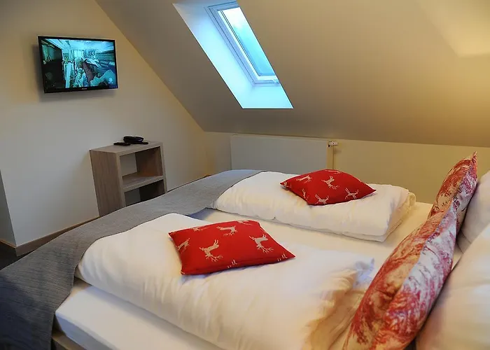 Hotelanlage Starick 호텔