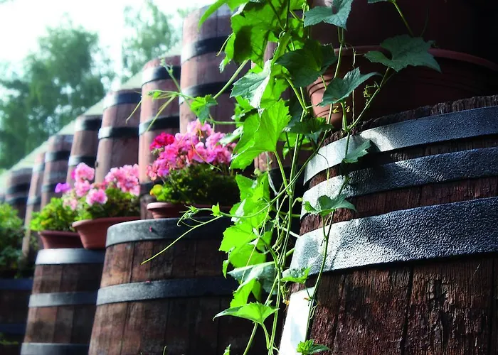 Hotell Hotelanlage Starick 4*