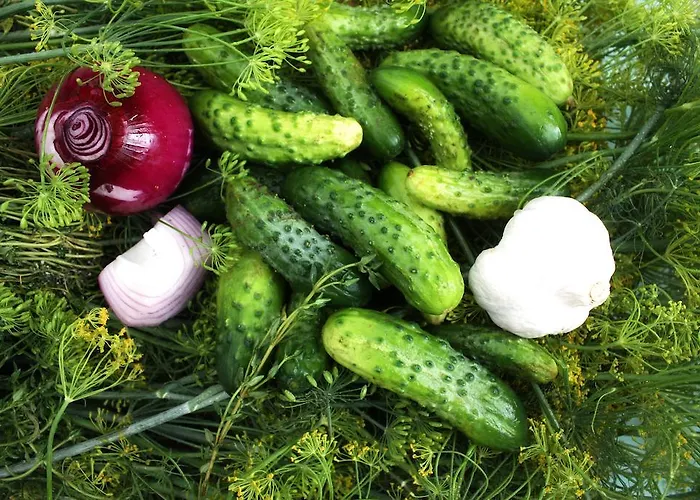 호텔 Hotelanlage Starick 뤼베나우