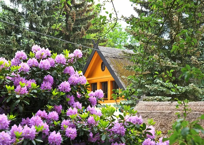 Hotelanlage Starick Hotell