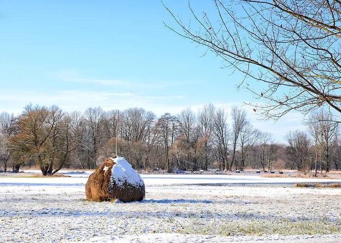 Hotell Hotelanlage Starick 4*